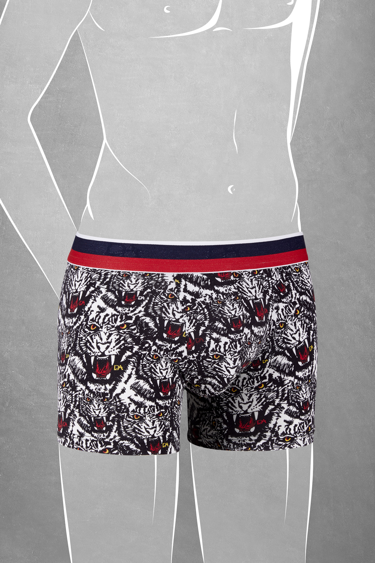 610 - Boxer